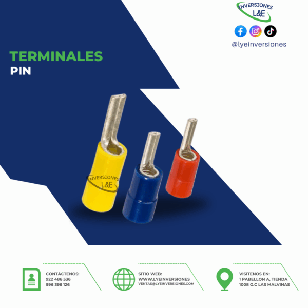 TERMINALES PIN
