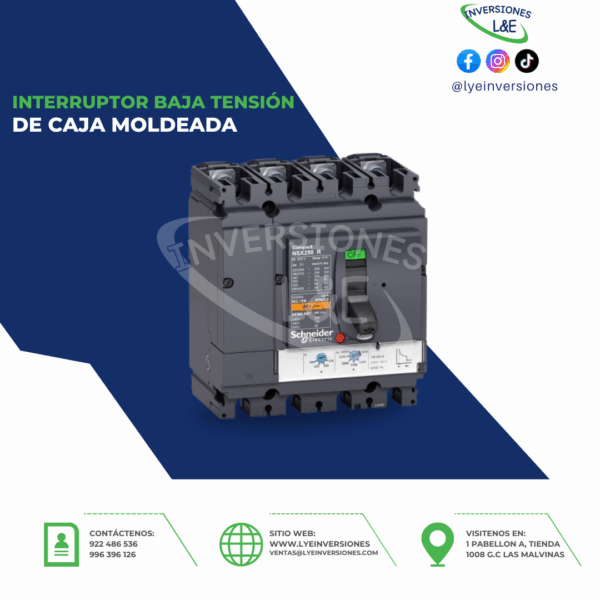 INTERRUPTOR DE CAJA MOLDEADA SCHNEIDER